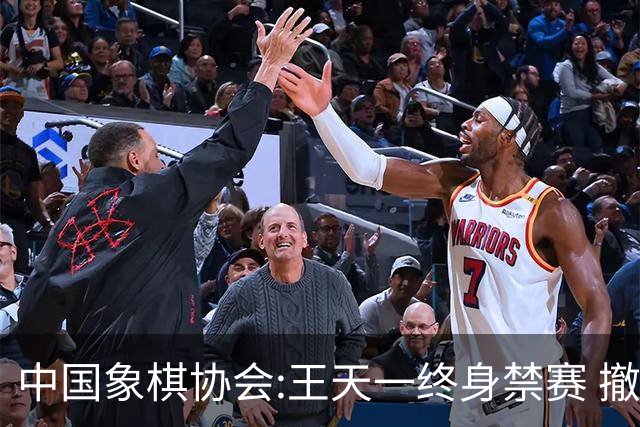 中国象棋协会:王天一终身禁赛 撤销特大等称号